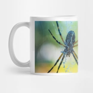 Spider Mug